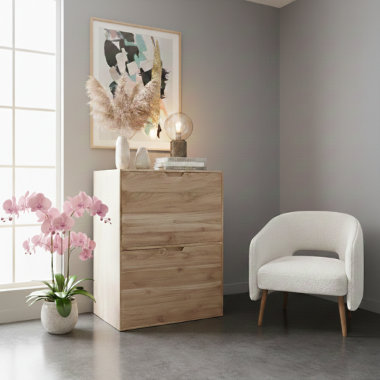 Modern 2 Drawer Chest of Recycled Teak Wood